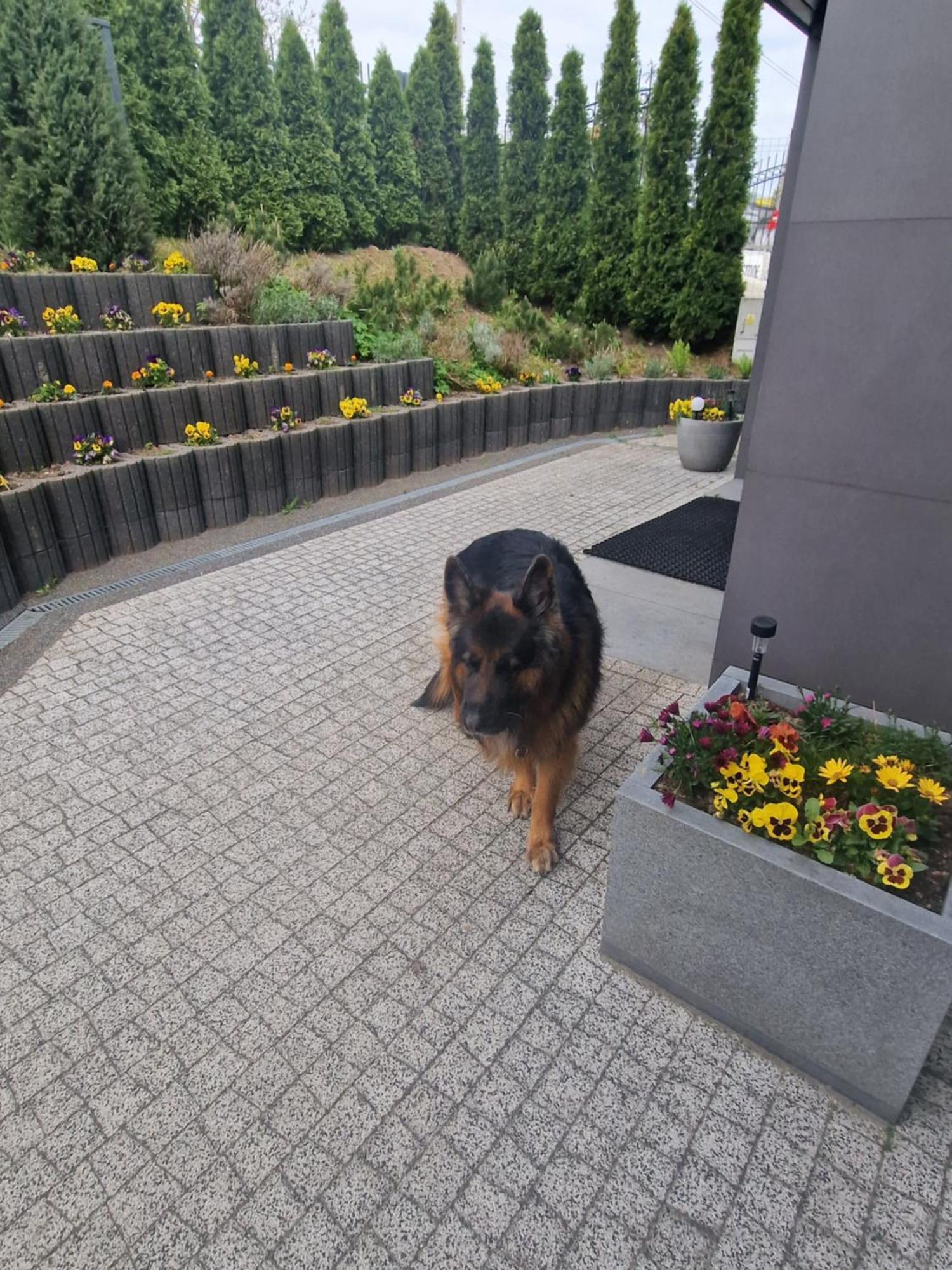 Apartamenty Mazury Mrągowo Exterior foto
